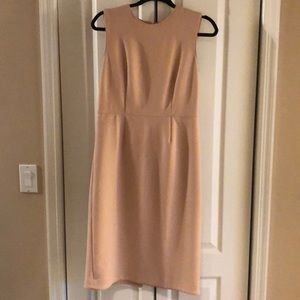 Ann Taylor Blush sheath dress
